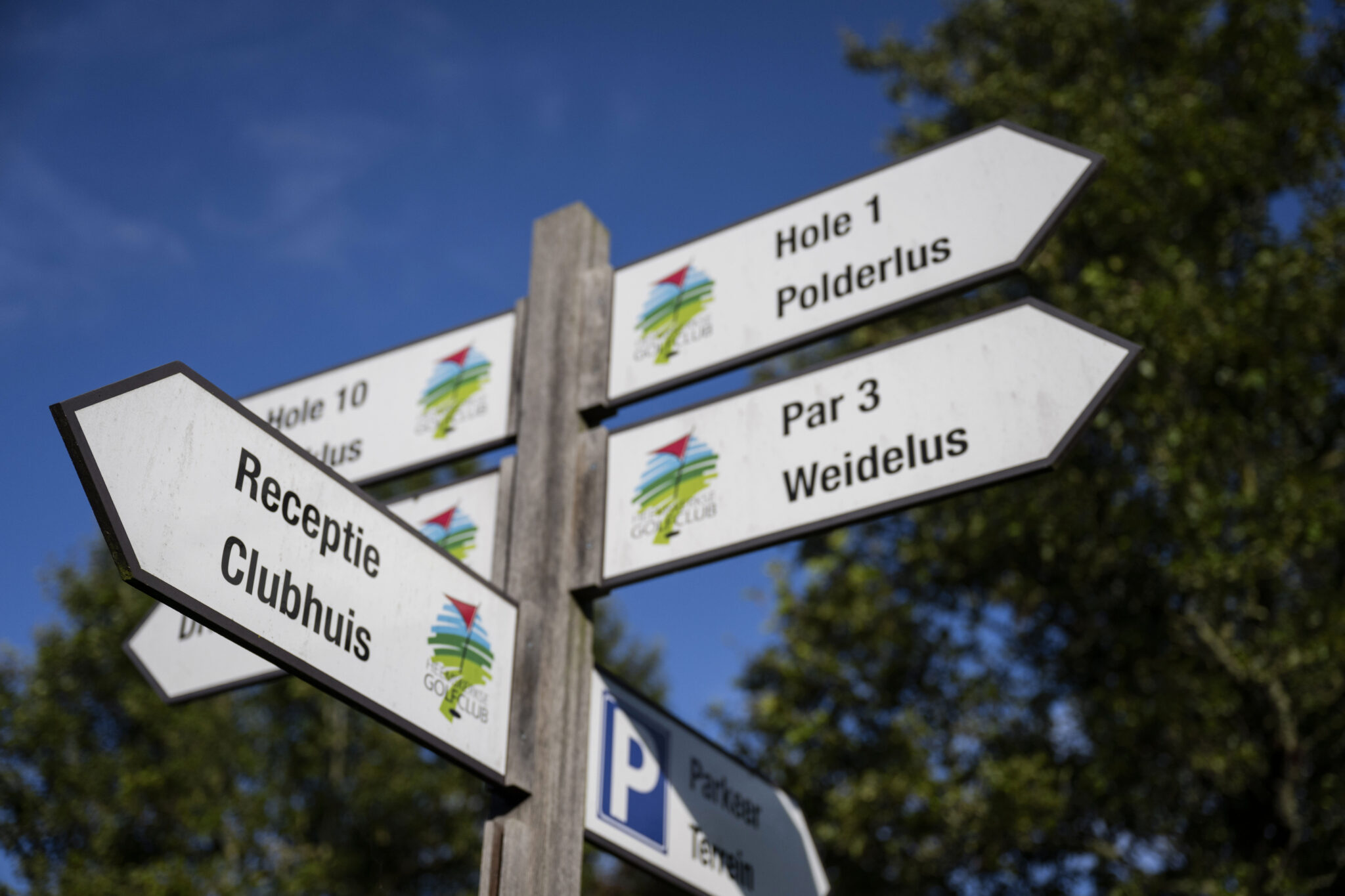 Teamindeling NGF competitie 2025 bekend Heemskerkse